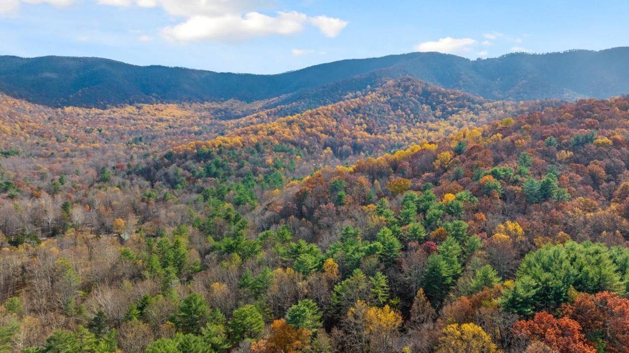 Sleepy Hollow 5Br Cabin - National Park 7 Min, Hot Tub, Fire Pit, Sleeps 12 Luray Bagian luar foto
